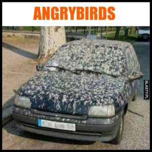 auto humor śmieszne s-car
