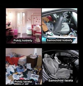 skup aut Krasnystaw, auto śmieszne, humor